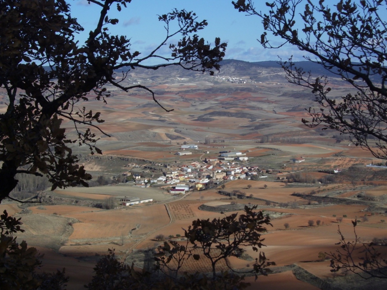 Bujalaro